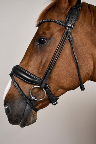 Round Stitched Bridle Large Noseband Soft Leather Black