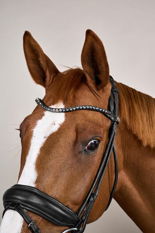 Round Stitched Bridle Large Noseband Soft Leather Black