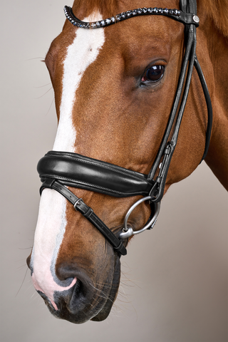 Round Stitched Bridle Large Noseband Soft Leather Black