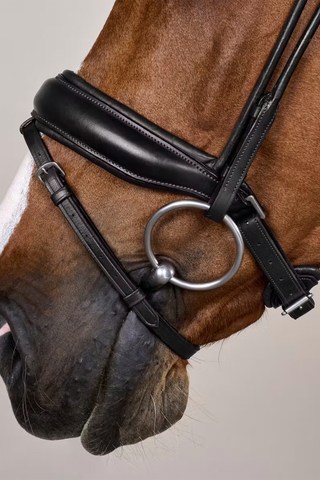 Round Stitched Bridle Large Noseband Soft Leather Black