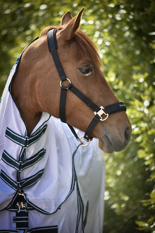 Grime Svensk Ridesport