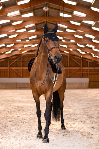 Embroidered Hood Black