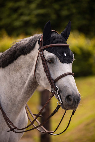 Set Saddle Pad + Hood