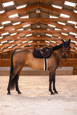 Flyshield Swarovski Flyshield Schwarz