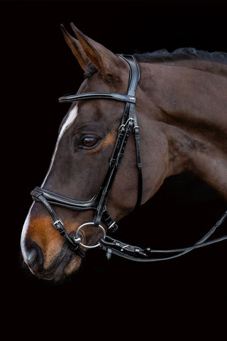 Ancona Select Träns