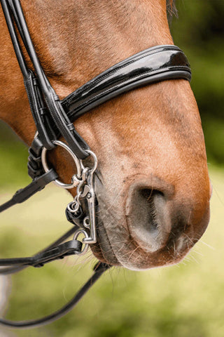 HS HO Double Bridle 14MM 7CM
