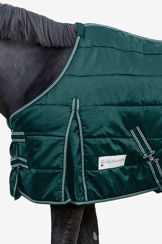 Stable Rug Economic 200g Fir Green