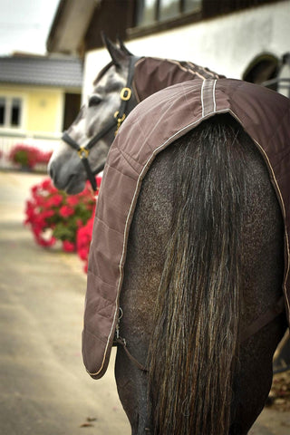 Stable Rug with Neck 50g Brown