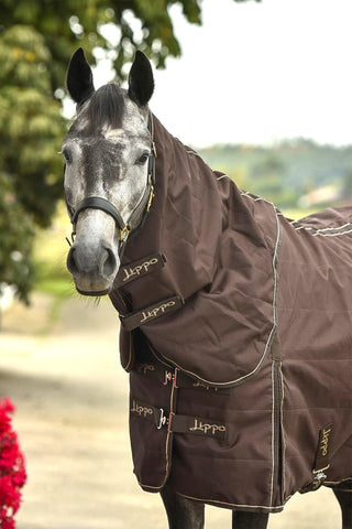 Stable Rug with Neck 150g Brown