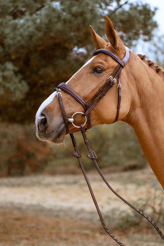 Hoofdstel Anatomisch Breed Neusriem