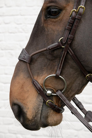 Hoofdstel Elastische Hybride Neusriem Dyon Collection Bruin