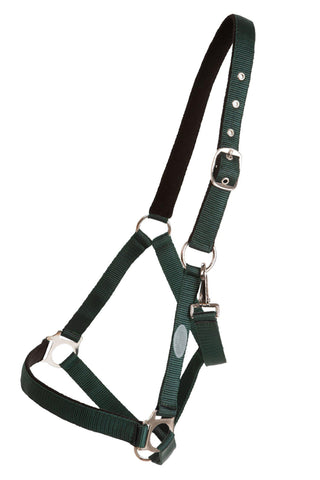 Horse Unique Halter Basic Green