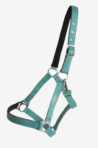 Horse Unique Halter Basic Turquoise