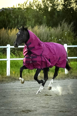 Turnout Rug with Neck 100g Fuschia/Navy