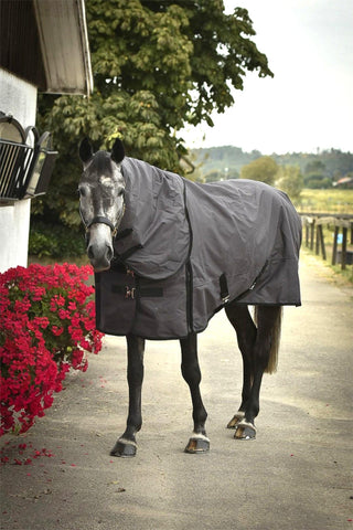 Turnout Rug with Neck 100g Dark Grey/Black