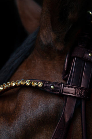 Elegant Browband