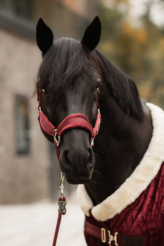 Velvet Halter Bordeaux