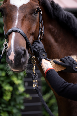 Vesta Grip Ridehandsker