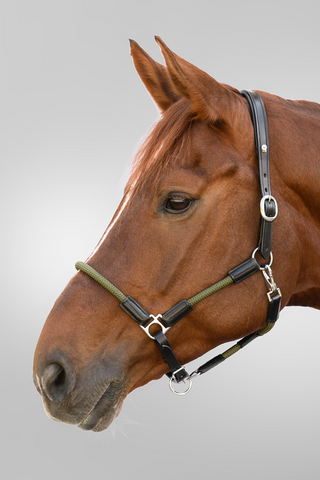 Lædergrime X-Line Nevada Sort/Grøn