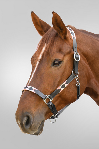 Licol en cuir X-Line Polo Rose/Beige