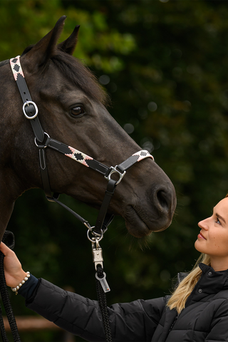 Licol en cuir X-Line Polo Rose/Beige