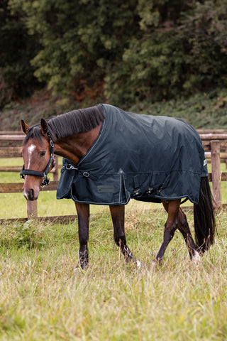 Turnout Rug Scandic 50g Night Blue