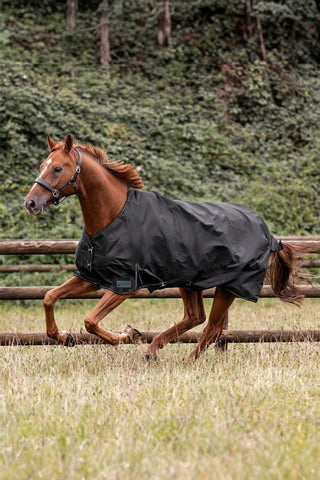 Regendecke Nordic 50g Schwarz
