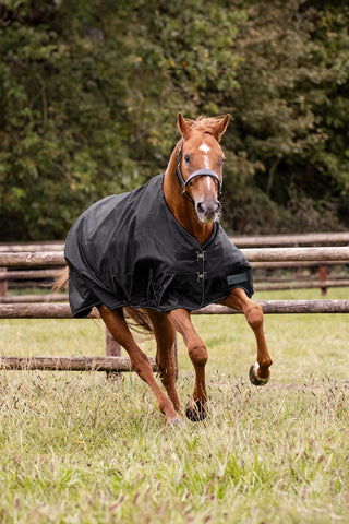 Regendecke Nordic 50g Schwarz