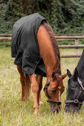 Nordic Turnout Rug Fleece Black