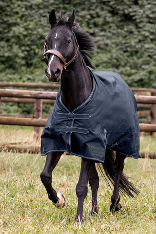 Arctic Turnout Rug 100g
