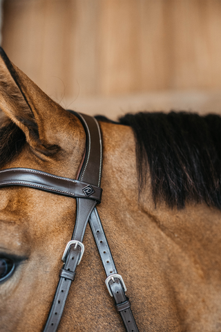 Working Bitless Bridle