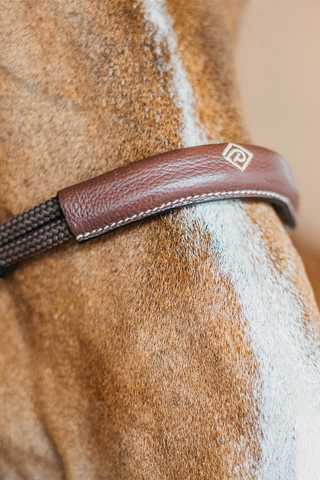 Working Bitless Bridle
