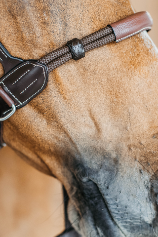 Working Bitless Bridle