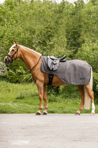 Waldhausen Comfort Fly Exercise Sheet Grey