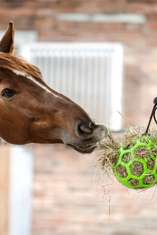 Hay Ball