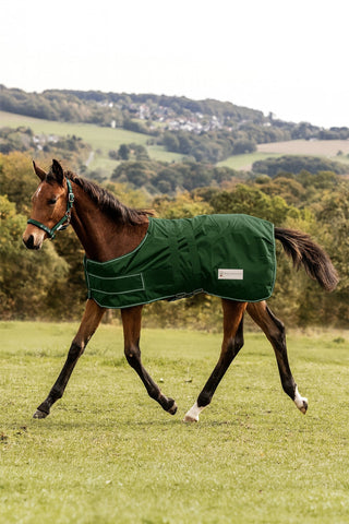 Foal Turnout Rug 100g Waterproof Fir Green
