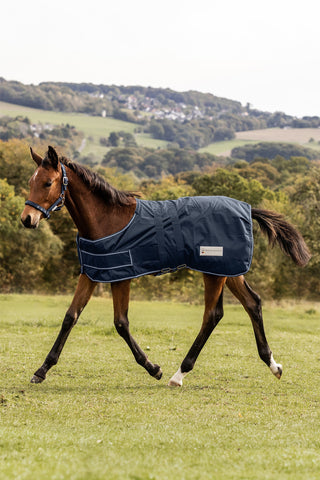 Foal Turnout Rug 100g Waterproof Night Blue