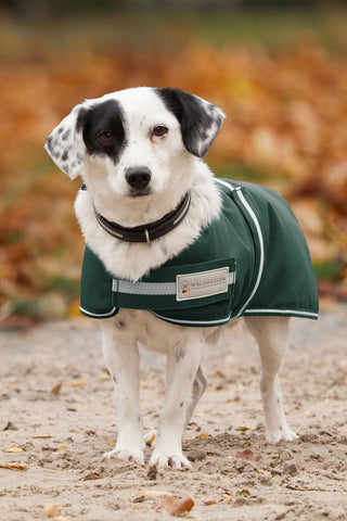 Honden deken Comfort 200g Fir Green