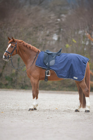 Exercise Sheet Comfort Night Blue