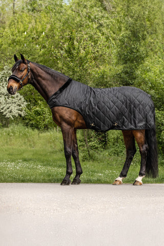Horse Walker Rug Exclusive Black