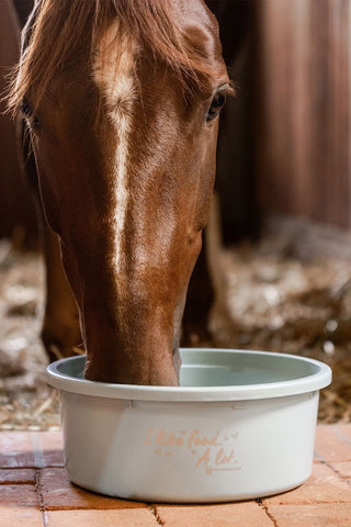 XL Muesli Feed Bucket with Lid