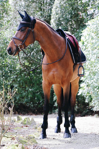 Kentucky Wellington Vliegennetje Pony Zwart