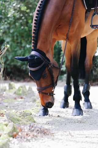 Kentucky Wellington Vliegennetje Pony Zwart