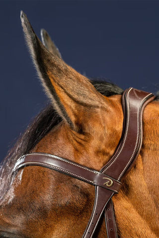 X-Fit Anatomisch Hoofdstel