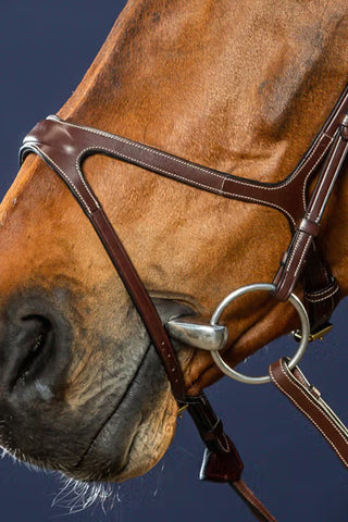 X-Fit Anatomisch Hoofdstel