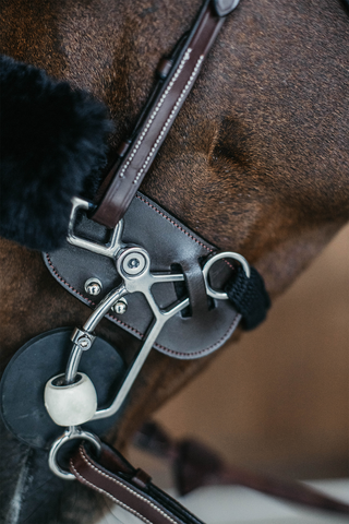 Hackamore Protection