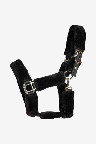 Back On Track Audrey Grimma m. Ludd