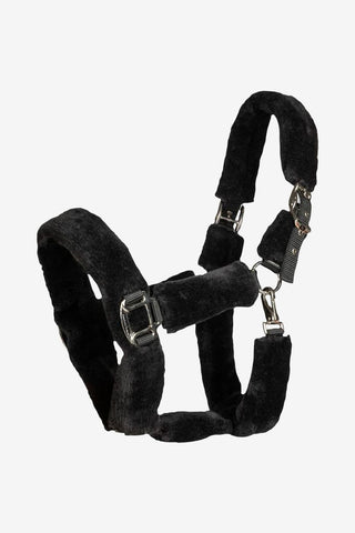 Back On Track Audrey Grimma m. Ludd