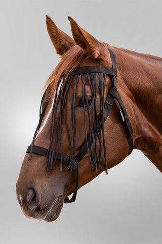 Betesgrimma med flugfransar Svart