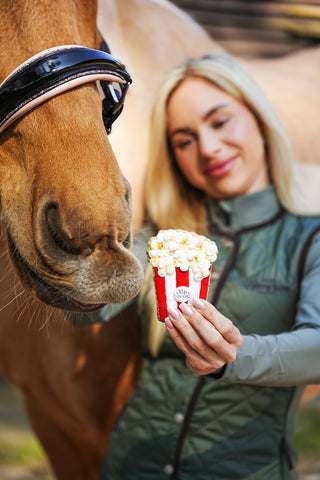 Horse Treats Foodie Cookie 3-pack